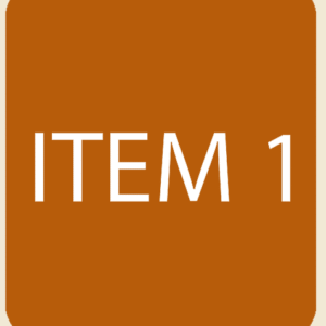 Item 1
